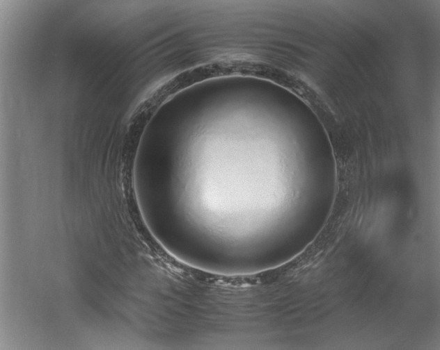 X0000060780919200511101336