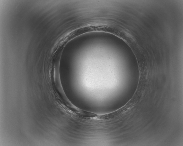 X0000060780920200511101336