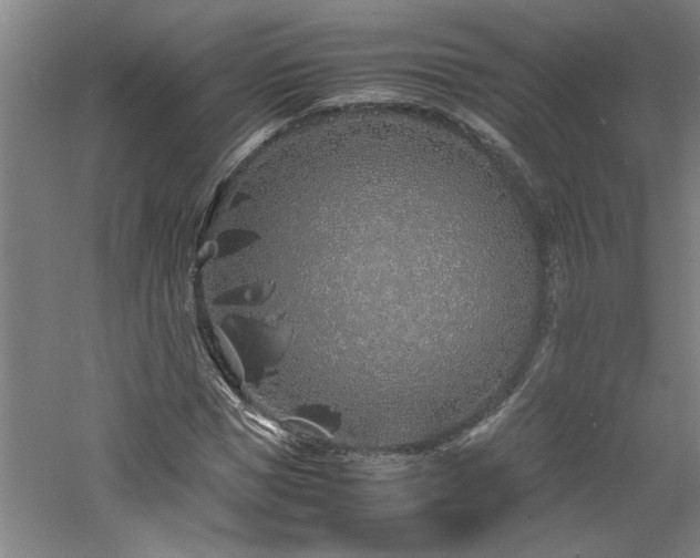 X0000060780921200511101336