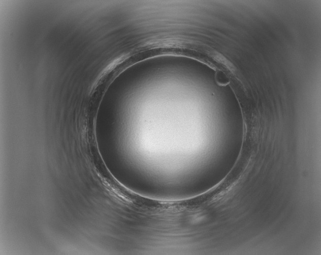 X0000060780922200511101336