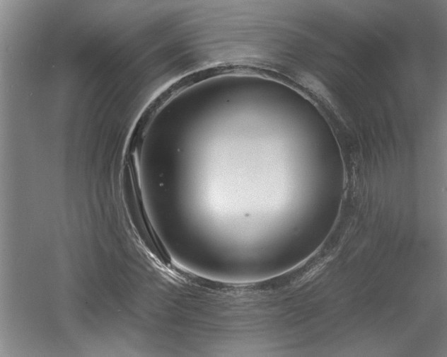 X0000060780924200511101336