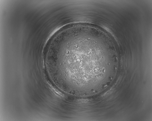 X0000060780925200511101336