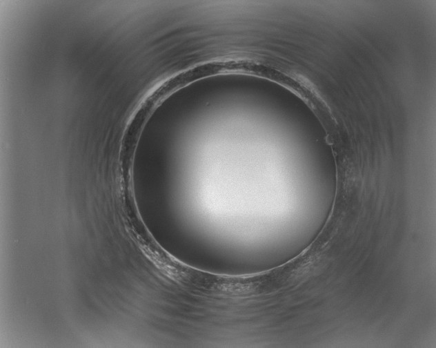 X0000060780927200511101336