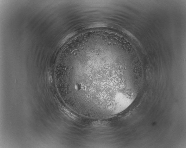 X0000060780929200511101336