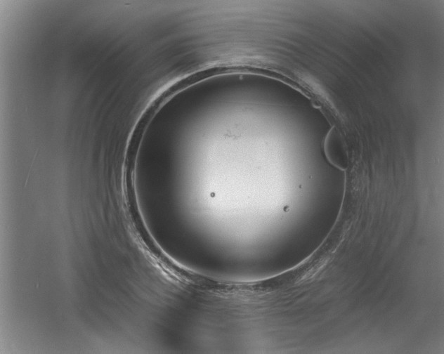 X0000060780932200511101336