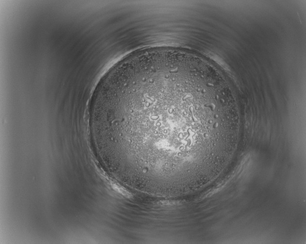 X0000060780933200511101336