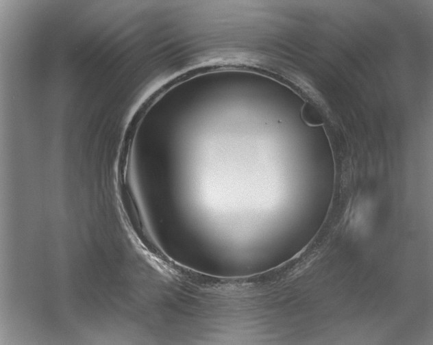 X0000060780936200511101336