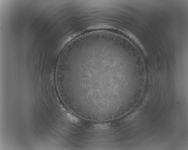 X0000060780937200511101336