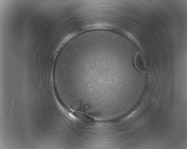 X0000060780938200511101336