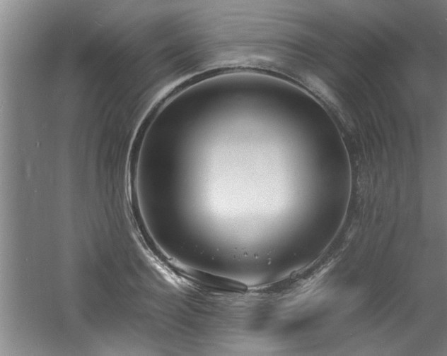 X0000060780940200511101336