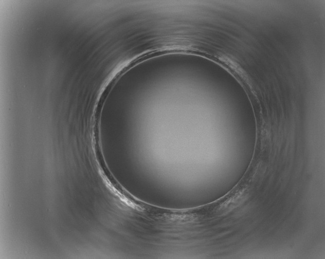 X0000060780941200511101336