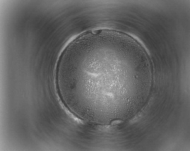 X0000060780949200511101336