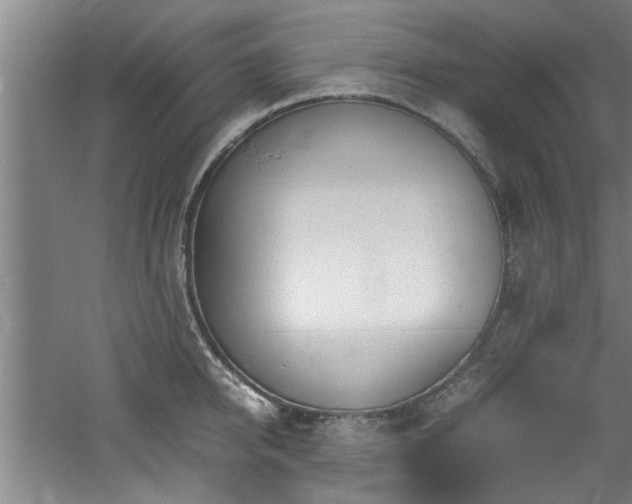 X0000060780950200511101336