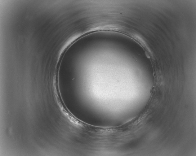 X0000060780952200511101336