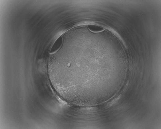 X0000060780953200511101336