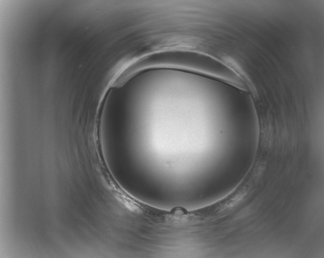 X0000060780956200511101336