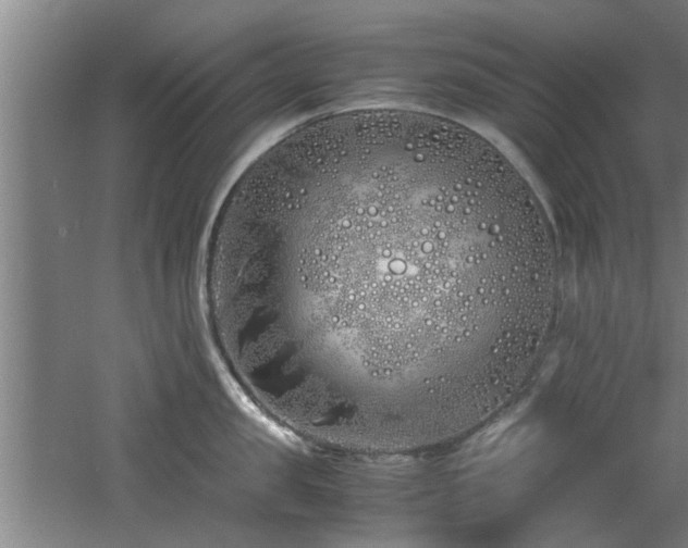 X0000060780957200511101336