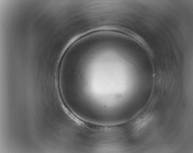 X0000060780958200511101336