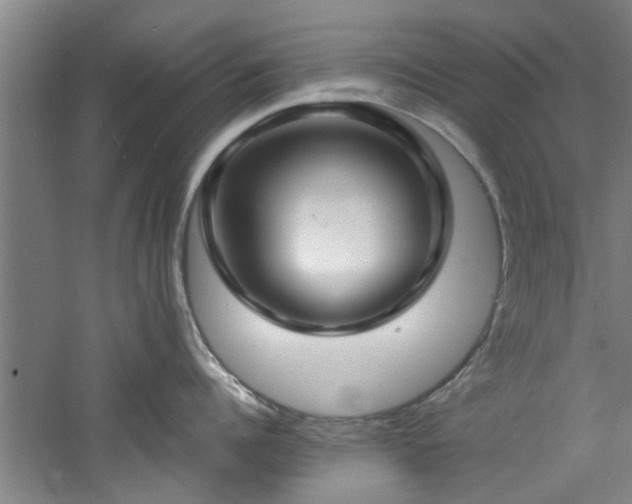 X0000060780960200511101336