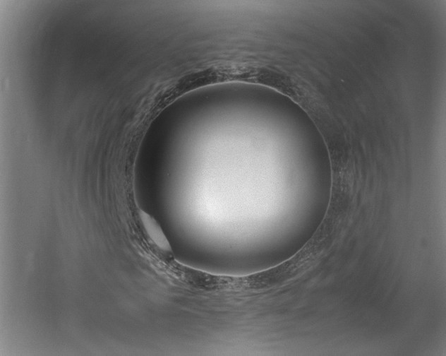 X0000060780961200511101335