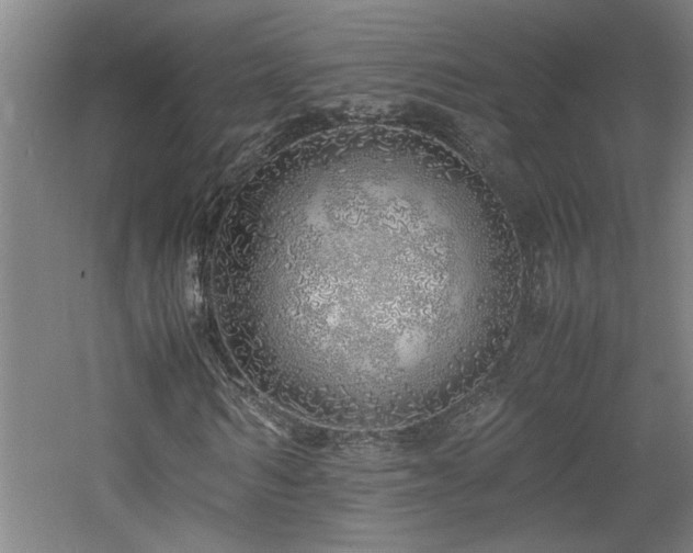 X0000060780962200511101335