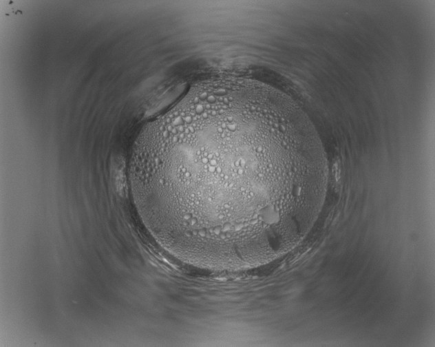 X0000060780963200511101335