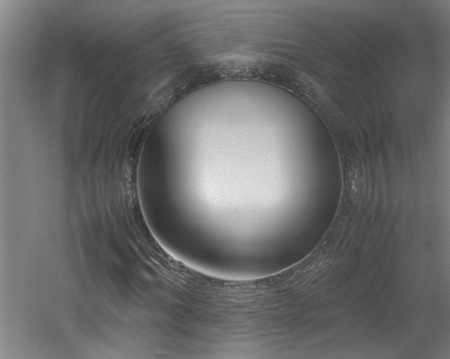 X0000060780964200511101335