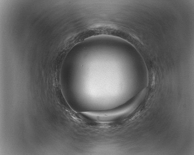 X0000060780965200511101335