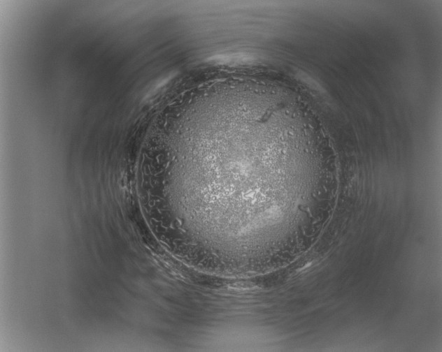 X0000060780966200511101335