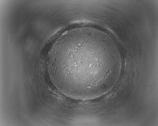 X0000060780967200511101335