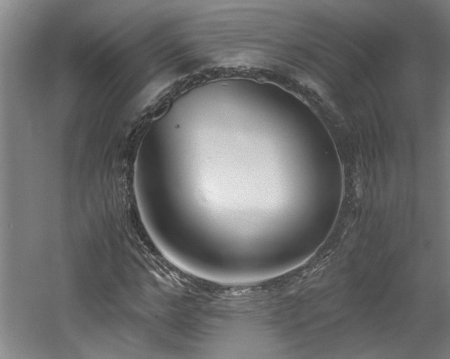 X0000060780968200511101335