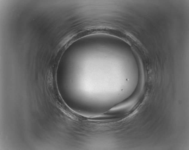 X0000060780969200511101335