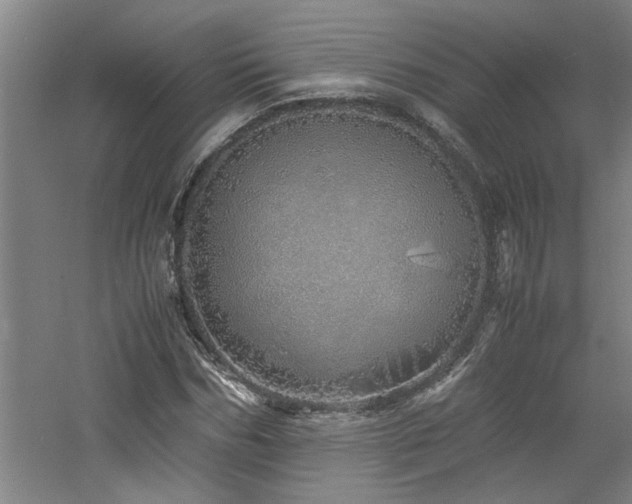 X0000060780970200511101335