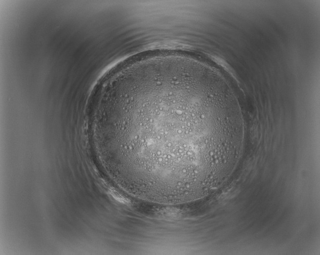 X0000060780971200511101335