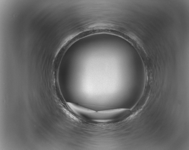 X0000060780973200511101335