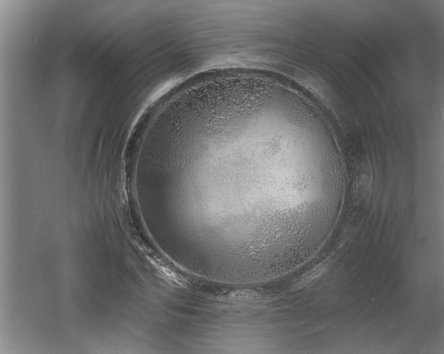 X0000060780974200511101335