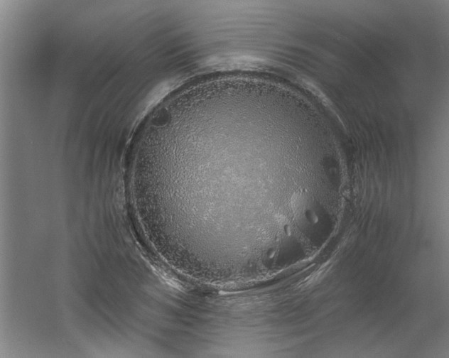 X0000060780978200511101335