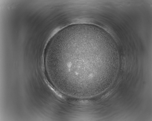 X0000060780982200511101335