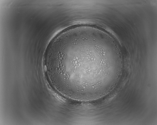 X0000060780983200511101335