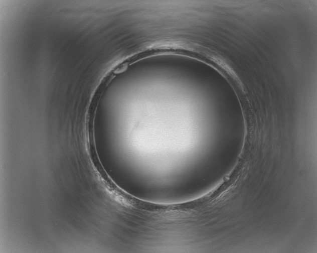 X0000060780984200511101335