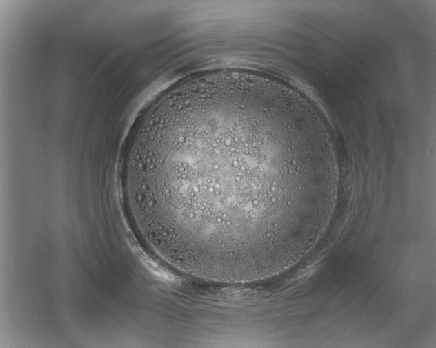 X0000060780987200511101335