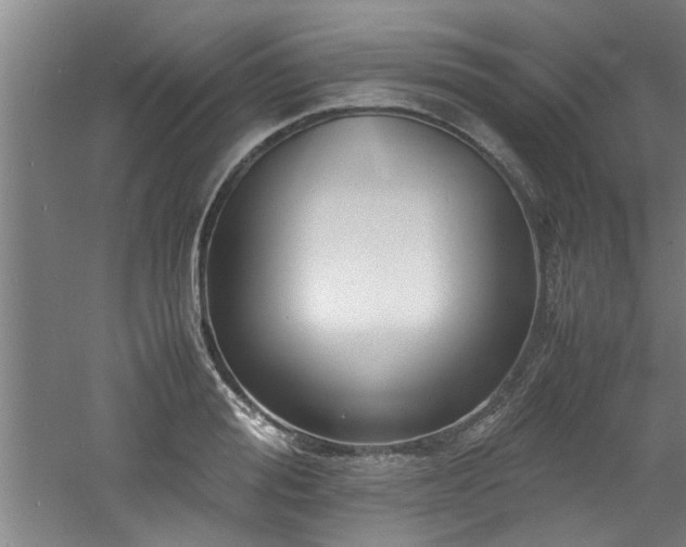 X0000060780988200511101335