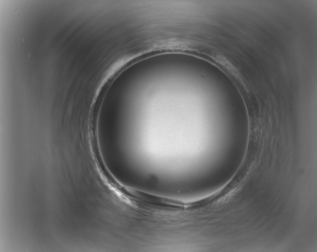 X0000060780989200511101335