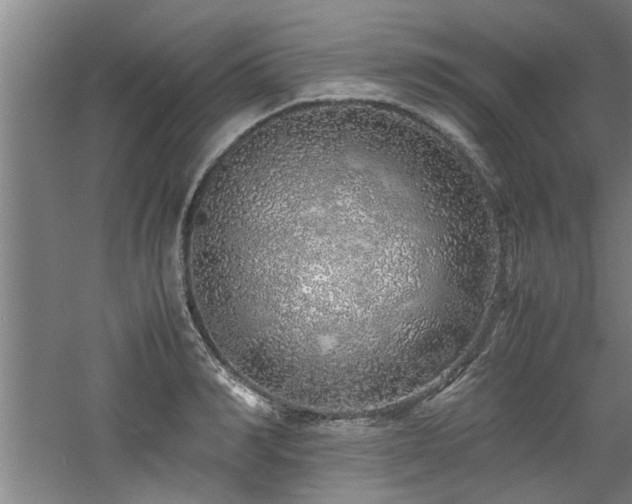 X0000060780990200511101335