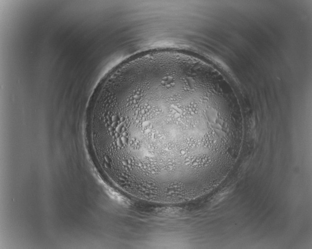 X0000060780991200511101335