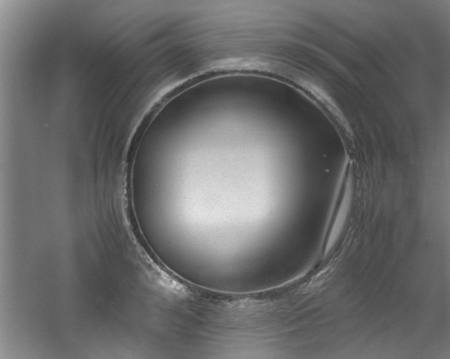 X0000060780992200511101335