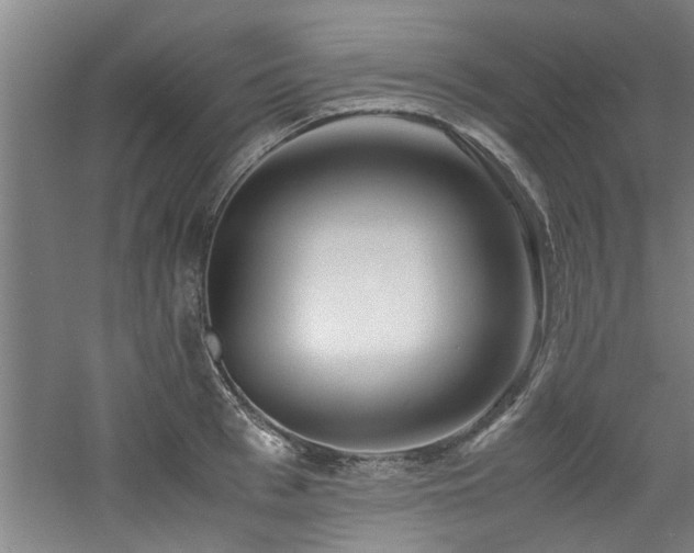 X0000060780993200511101335