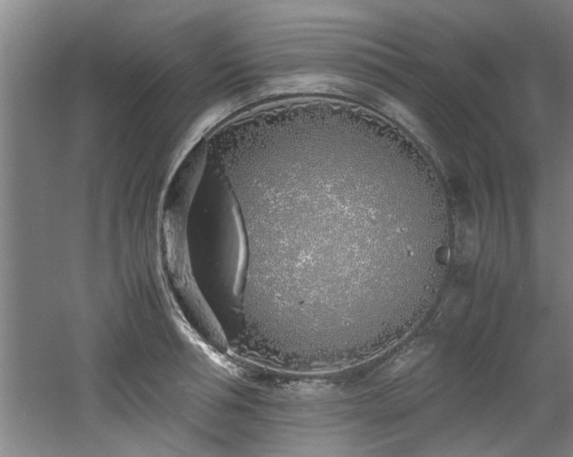 X0000060780994200511101335