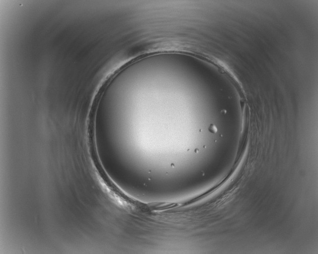 X0000060780995200511101335