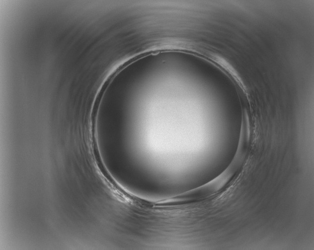 X0000060780996200511101335